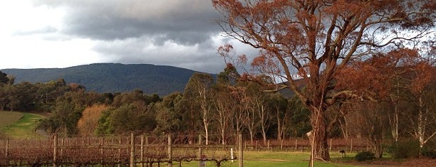 Bulong Estate is one of Victorian wineries.