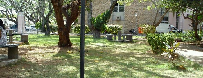 Jardim Do CCSA is one of UFRN.