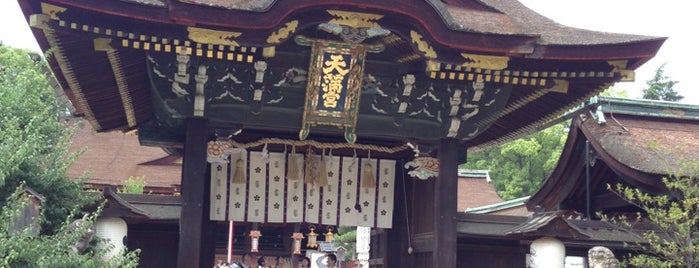 Kitano-Tenmangū Shrine is one of 八百万の神々 / Gods live everywhere in Japan.