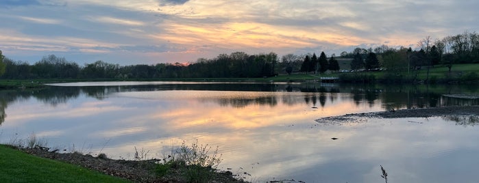 Mammoth Park is one of Places to Run.