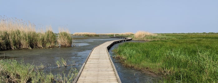 Sea Rim State Park is one of Tempat yang Disukai Timothy.