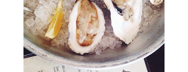 Boulevardier is one of The 15 Best Places for Oysters in Dallas.