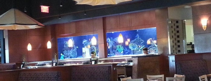 Kona Grill is one of bars.