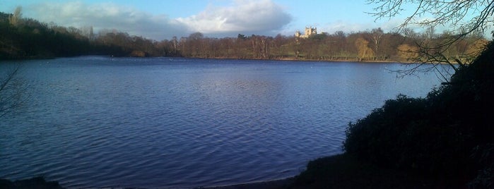 Wollaton Park is one of Phat's Saved Places.