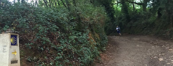 El Camino de Santiago - Preguntoño is one of Lieux qui ont plu à Tania.