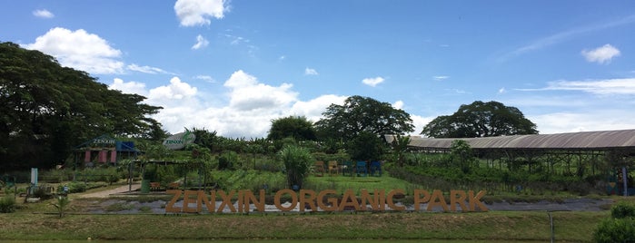 诚兴 Zenxin Organic Park is one of JB.