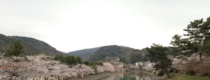 Uji River is one of 門外漢的京都.