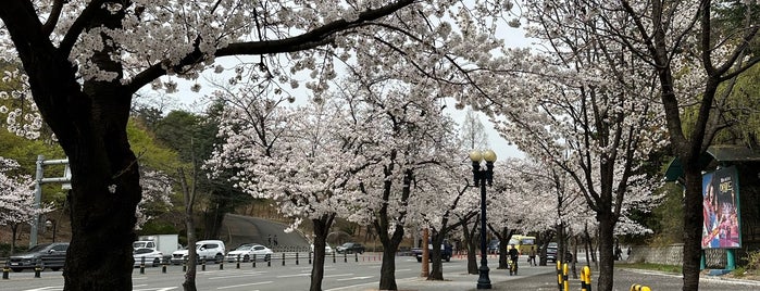 두류공원 is one of Daegu, S. Korea.