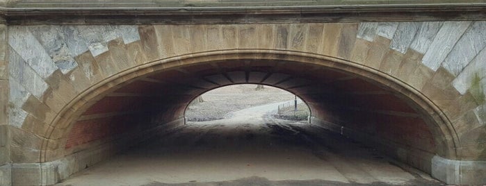 Greyshot Arch is one of Central Park🗽.