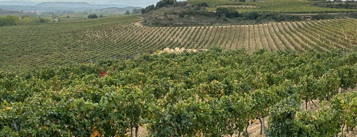 Bodega Eguren Ugarte is one of Bodegas.