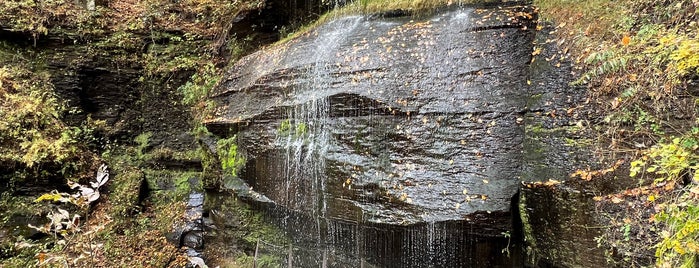 Buttermilk Falls is one of Pennsylvania - 2.