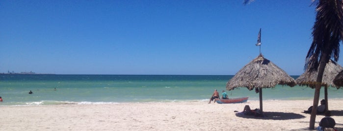 Malecón Internacional de Progreso is one of สถานที่ที่ Fanny ถูกใจ.