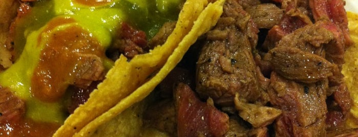 El Hostal de los Quesos is one of Pinches Tacos Shingones!.