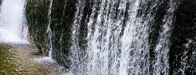 Cachoeira Serra dos Órgãos is one of Tere.
