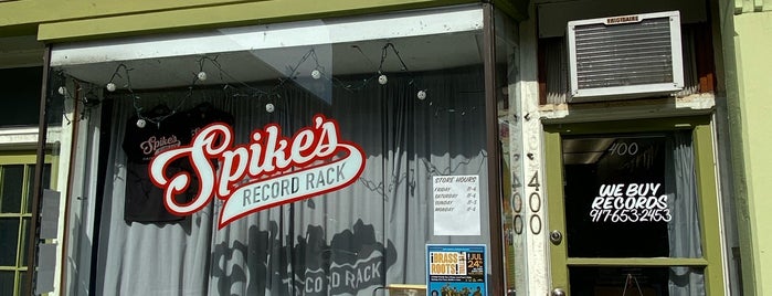 Spike’s Record Rack is one of rhinebeck.