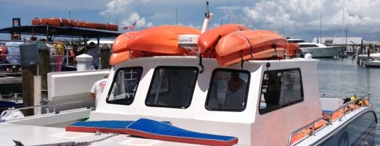 Cruzan Cat Fury Water Adventures Boat is one of places to go in the keys.