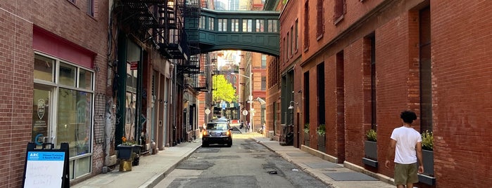 Staple Street Skybridge is one of NYC things to do.