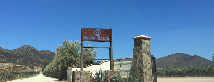 Baron Balche is one of California´S 2017.