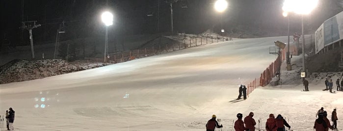 Phoenix Pyeongchang Snow Park is one of Sports Venues : Visited.