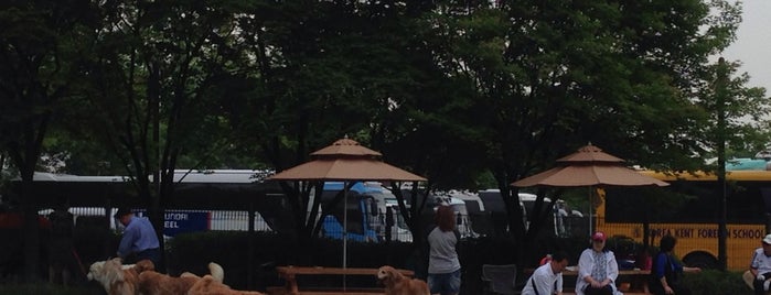 Seoul World Cup Dog Park is one of Seline'nin Beğendiği Mekanlar.