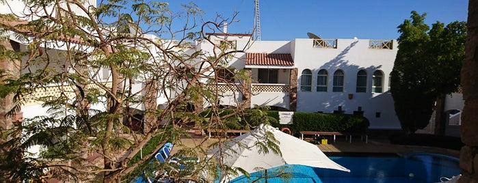 Camel Dive Center is one of Sharm.