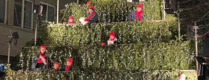 Singing Christmas Tree is one of Zurich.