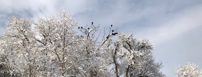 poudre trail is one of Coloradness.