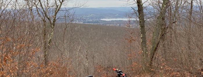 Pittsfield State Forest is one of The Berkshires.