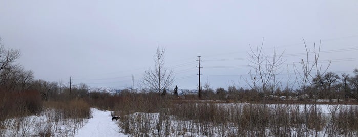 McMurry Natural Area is one of Tempat yang Disukai Cosmo.