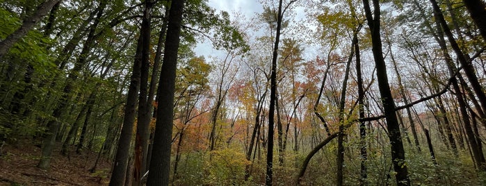 Great Brook State Park is one of State parks.