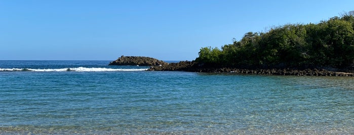 Cueva Golondrinas is one of Que visitar en la costa norte de Puerto Rico.