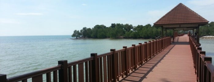 Pantai Cahaya Negeri (Beach) is one of สถานที่ที่ Chin ถูกใจ.