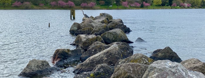 Stanley Sayres Memorial Park is one of Seattle.