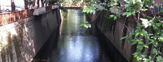 Naka-meguro Station is one of Giappone.