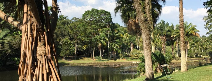 Jardim Botânico de São Paulo is one of Orte, die Ronaldo gefallen.