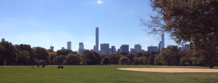 Central Park is one of Ronaldo’s Liked Places.