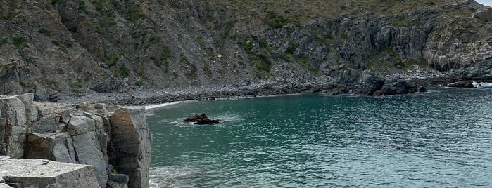 Punta Lobos is one of Lugares guardados de Eduardo.