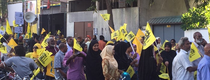 MDP Central Campaign Office is one of MDP Jagaha.