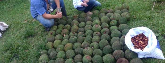 Fazenda São João is one of Aline Carolina'nın Beğendiği Mekanlar.