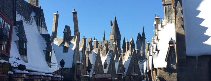 The Wizarding World of Harry Potter - Hogsmeade is one of สถานที่ที่ Jason ถูกใจ.