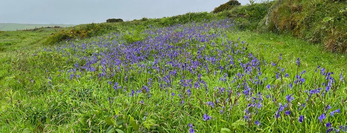 Chysauster Ancient Village is one of England.