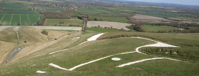 White Horse Hill is one of chalk figures.