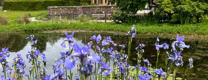University of Bristol Botanic Garden is one of Bristol.