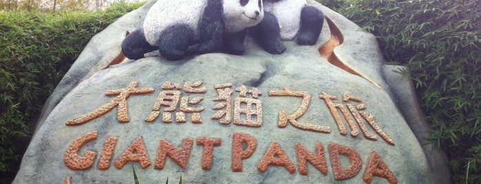 Ocean Park Hong Kong is one of Outside-of-Austin Traveler.