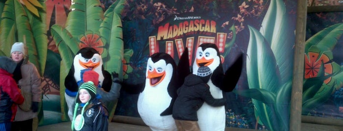 Madagascar Show is one of Chessington World of Adventures - Everything.