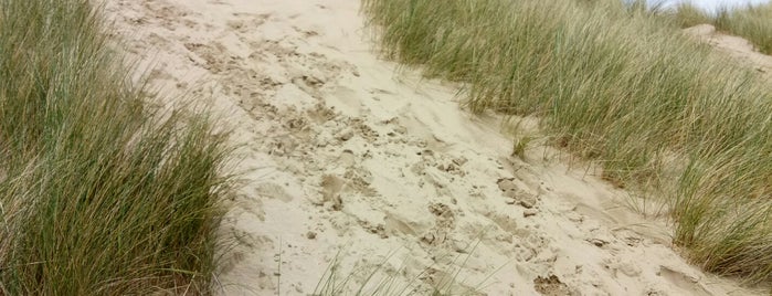 Ynyslas Beach is one of Aberdovey.