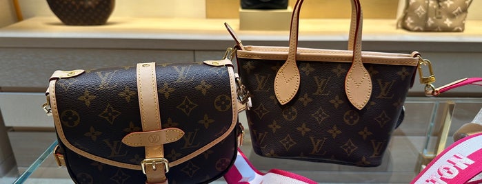 Louis Vuitton is one of Top Shopping.