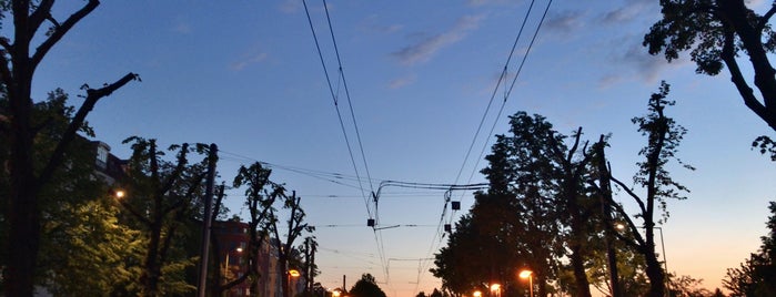 H Björnsonstraße is one of Berlin tram line 50.
