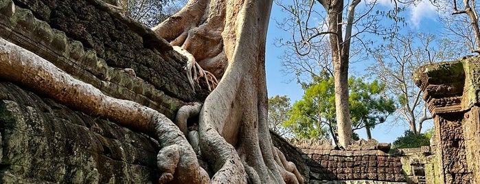 Ta Prohm is one of Southeast Asia.