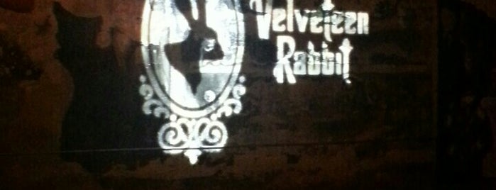 Velveteen Rabbit is one of For Las Vegas in June.